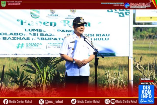 Panen Raya Lumbung Pangan di Rohul, Wabup Syafaruddin Poti Apresiasi Sinergi Semua Pihak