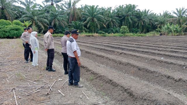 Polsek Tambusai Utara siapkan lahan untuk Penanaman Jagung di Desa Rantau Sakti